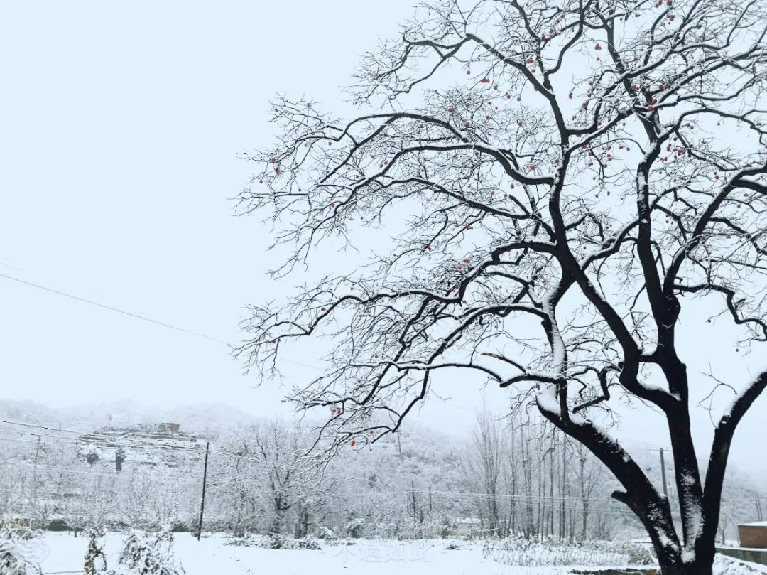 战风雪，斗严寒！成蜀电力冒雪奋进促工期